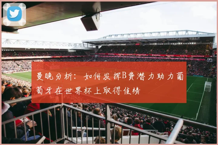 曼晚分析：如何发挥B费潜力助力葡萄牙在世界杯上取得佳绩